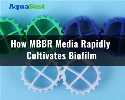 Як (реактор з рухомим шаром біоплівки) MBBR Media швидко культивує біоплівку